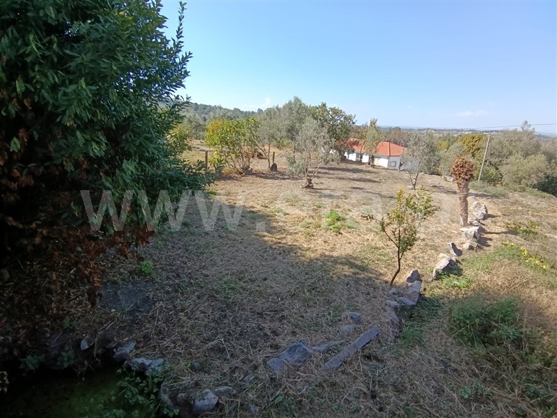 Moradia em Banda T5 Mangualde, Freixiosa - 1508832 - 16