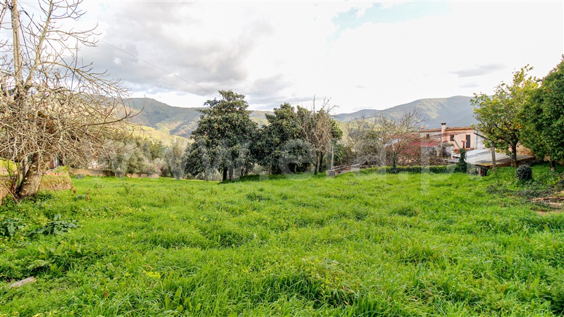 Moradia T0 com Terreno Arganil, Folques - 1448176 - 3