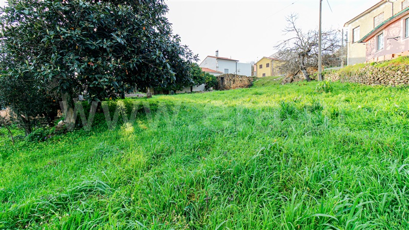 Moradia T0 com Terreno Arganil, Folques - 1448176 - 5