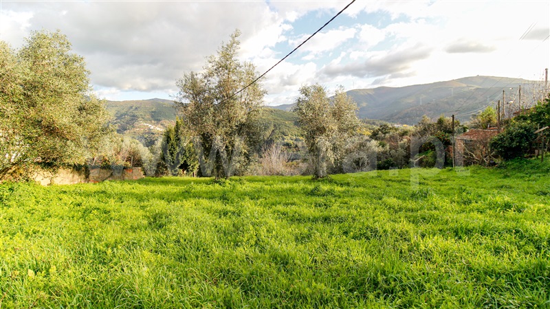 Moradia T0 com Terreno Arganil, Folques - 1448176 - 6