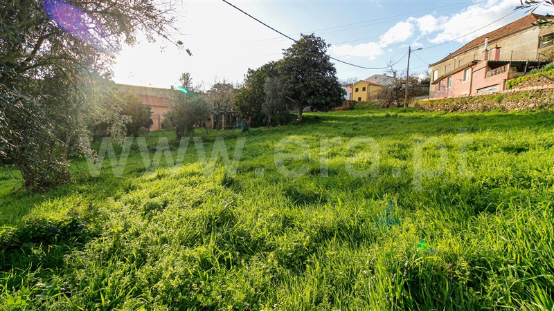 Moradia T0 com Terreno Arganil, Folques - 1448176 - 7