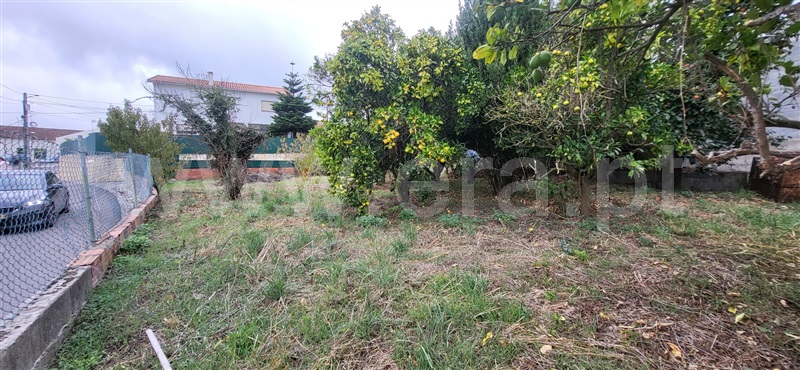 Moradia T3 Caldas da Rainha, Salir de Matos - 1512137 - 2