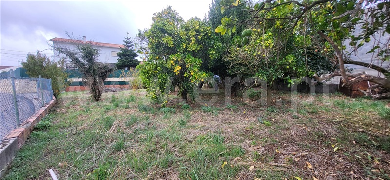 Moradia T3 Caldas da Rainha, Salir de Matos - 1512137 - 3