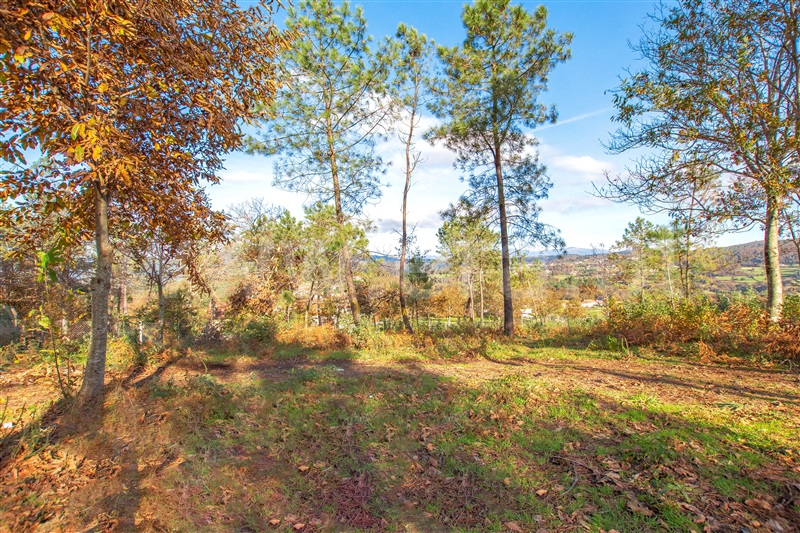 Terreno para Construção  Paredes de Coura, Castanheira - 1364728 - 6