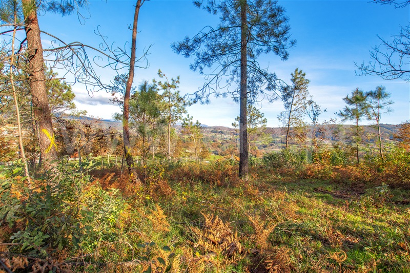 Terreno para Construção  Paredes de Coura, Castanheira - 1364728 - 14