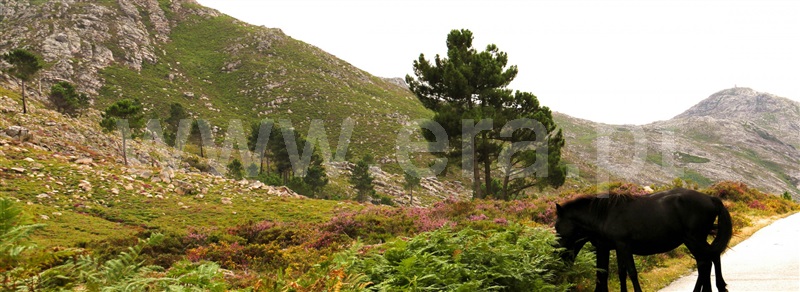 Moradia  Fafe, Aboim, Felgueiras, Gontim e Pedraído - 966534 - 15