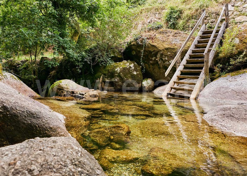 Moradia  Fafe, Aboim, Felgueiras, Gontim e Pedraído - 966534 - 21