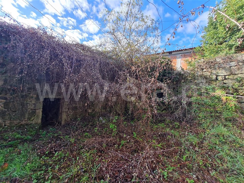 Moradia  Fafe, Agrela e Serafão - 1446999 - 14