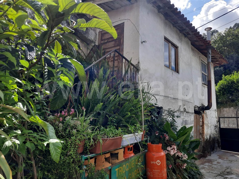 Moradia  Fafe, Freitas e Vila Cova - 1319267 - 22