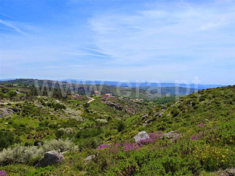 Moradia  Fafe, Monte e Queimadela - 104163 - 2