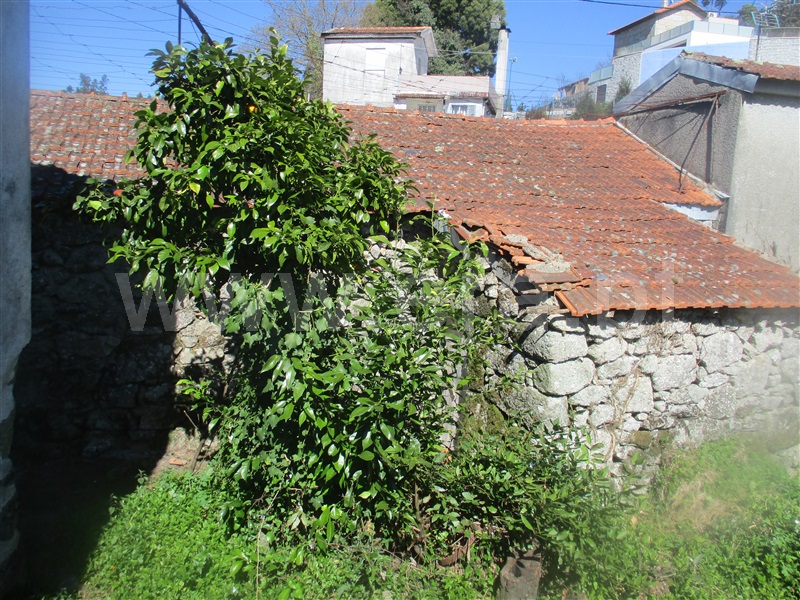 Quinta  Fafe, Ribeiros - 101933 - 12