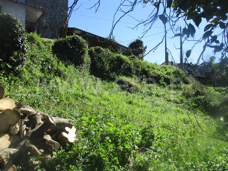 Quinta  Fafe, Ribeiros - 101933 - 17