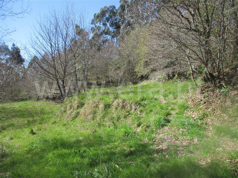 Quinta  Fafe, Ribeiros - 101933 - 19