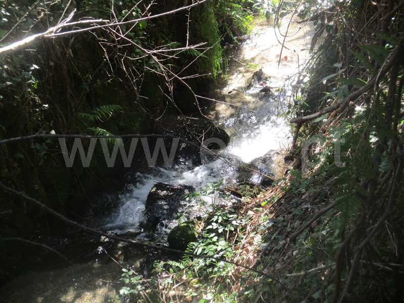 Quinta  Fafe, Ribeiros - 101933 - 21