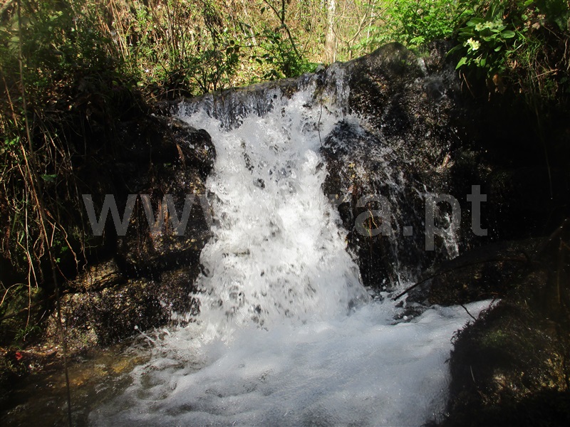 Quinta  Fafe, Ribeiros - 101933 - 29