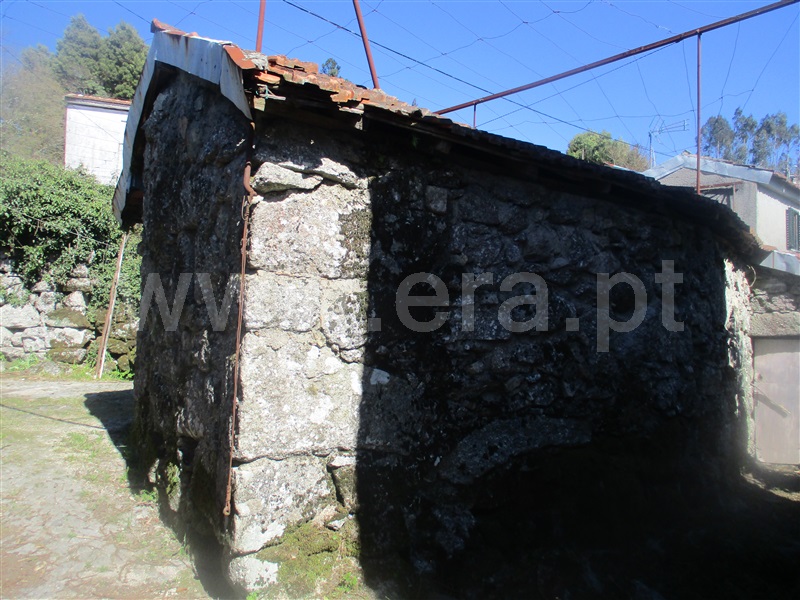 Quinta  Fafe, Ribeiros - 101933 - 31