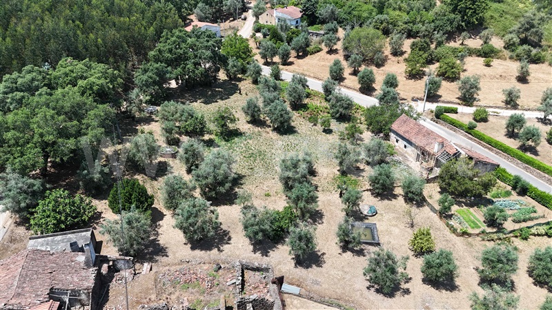 Moradia  Ferreira do Zêzere, Areias e Pias - 1494466 - 3