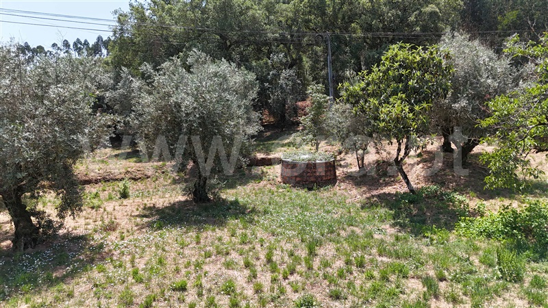 Moradia  Ferreira do Zêzere, Areias e Pias - 1494466 - 4