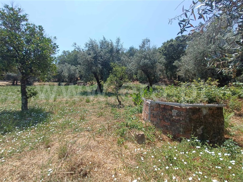 Moradia  Ferreira do Zêzere, Areias e Pias - 1494466 - 8