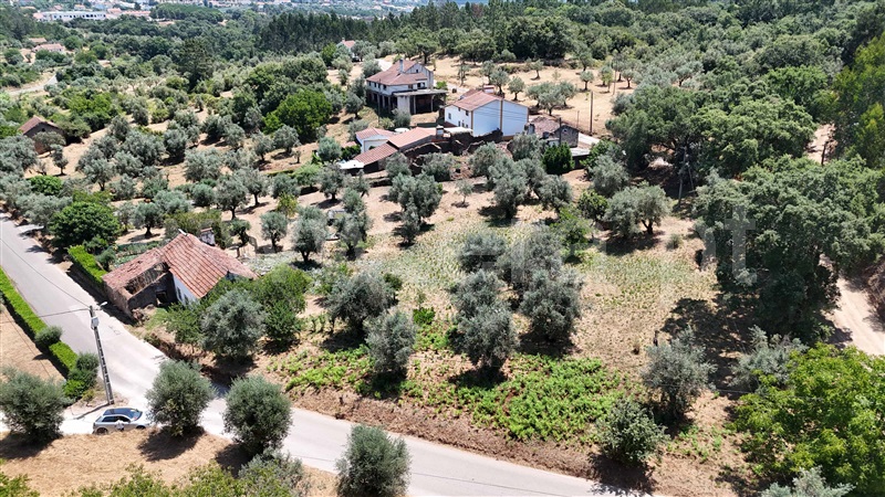 Moradia  Ferreira do Zêzere, Areias e Pias - 1494466 - 10