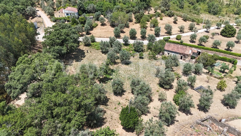Moradia  Ferreira do Zêzere, Areias e Pias - 1494466 - 11