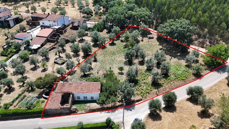 Moradia  Ferreira do Zêzere, Areias e Pias - 1494466 - 12