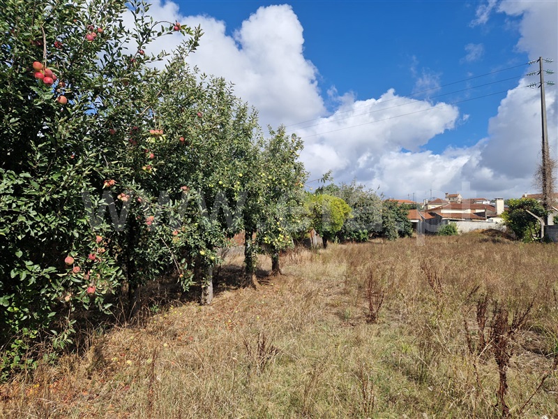 Moradia Geminada  Albergaria-a-Velha, Valmaior - 1503967 - 13