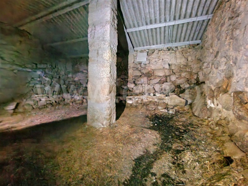 Moradia Geminada  Pinhel, Bouça Cova - 1460934 - 3