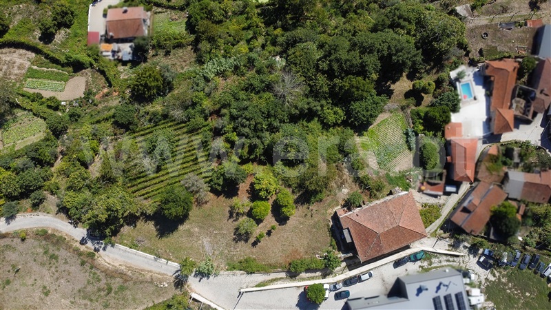 Moradia T1 à venda em Santa Marinha do Zêzere, Baião — foto 3