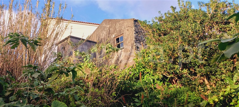 Prédio  Lajes das Flores, Fazenda - 1378064 - 1