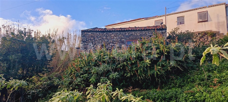 Prédio  Lajes das Flores, Fazenda - 1378064 - 2