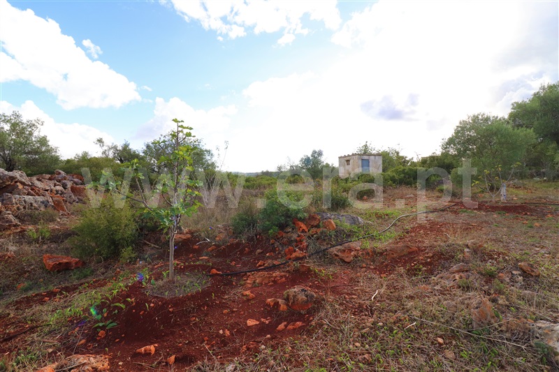 Moradia Geminada T1 Loulé, Salir - 1022803 - 10