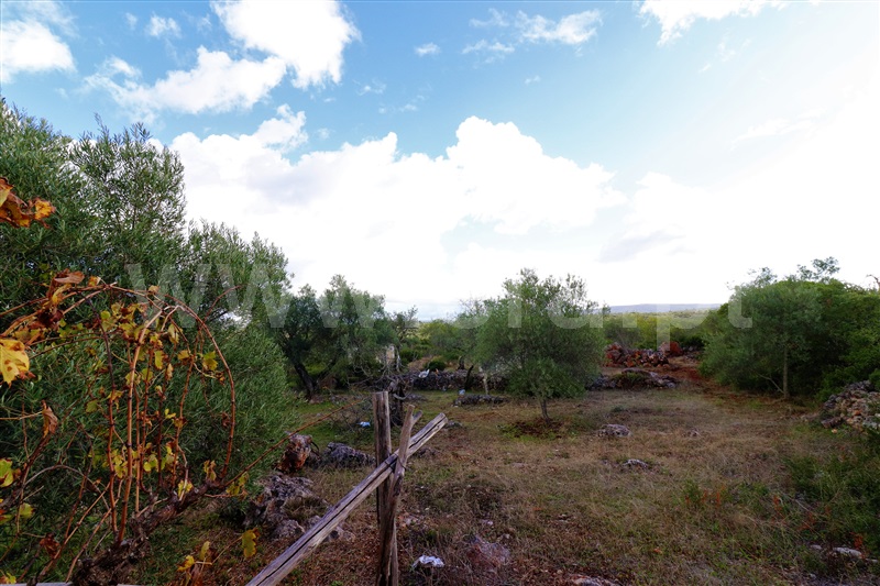 Moradia Geminada T1 Loulé, Salir - 1022803 - 11