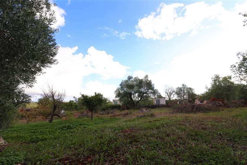 Moradia Geminada T1 Loulé, Salir - 1022803 - 12