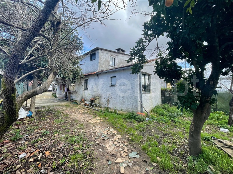 Moradia Geminada T2 / Águeda, Águeda e Borralha