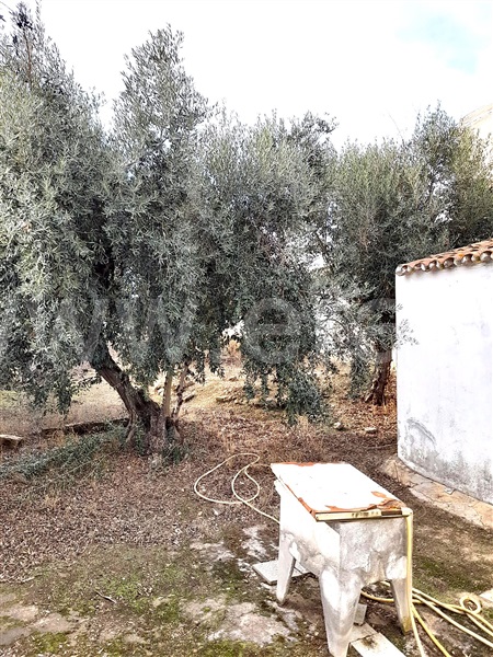 Moradia Geminada T2 com Quintal Aljustrel, São João de Negrilhos - 1284138 - 18