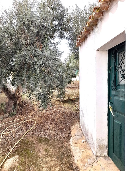 Moradia Geminada T2 com Quintal Aljustrel, São João de Negrilhos - 1284138 - 19