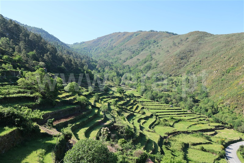 Moradia T2 à venda em Sistelo, Arcos de Valdevez — foto 15