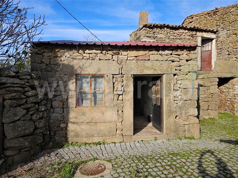 Moradia Geminada T2 / Figueira de Castelo Rodrigo, Mata de Lobos
