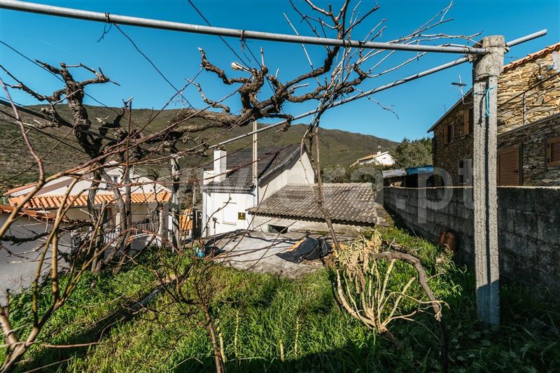 Moradia Geminada T2 Manteigas, Serra da Estrela - 1455588 - 5