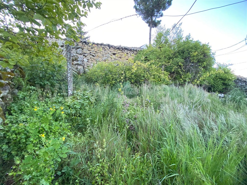 Moradia Geminada T2 Meda, Mêda - 1401621 - 2