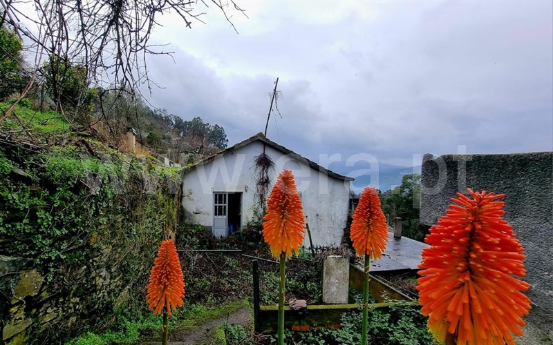 Moradia Geminada T2 / Mesão Frio, Cidadelhe