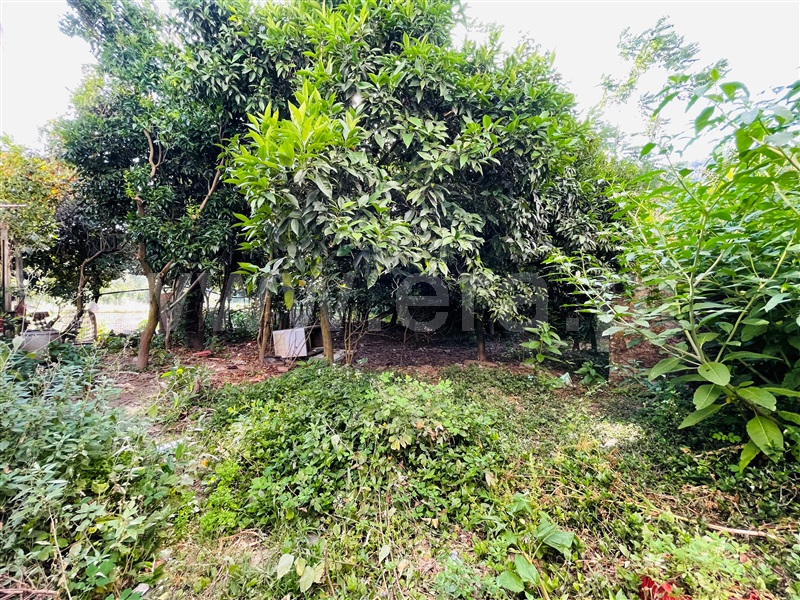 Moradia Geminada T2 com Terreno Miranda do Corvo, Ceira - 1489486 - 20