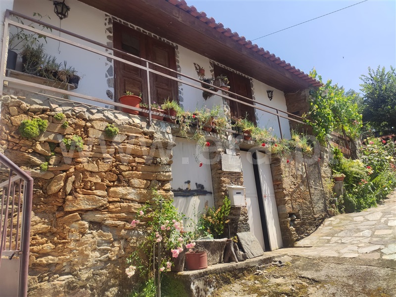 Moradia Geminada T2 / Mirandela, Múrias