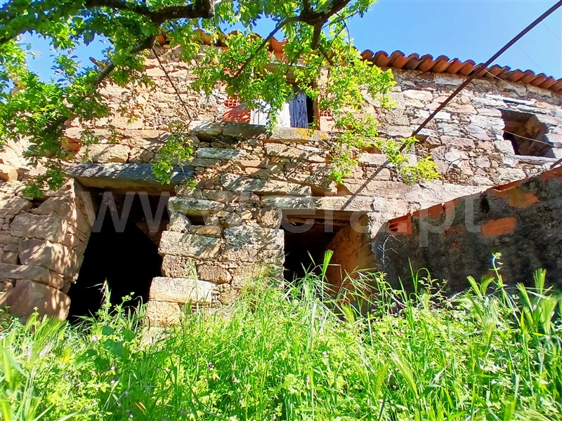 Moradia Geminada T2 Proença-a-Nova, Ripanso - 1475878 - 21