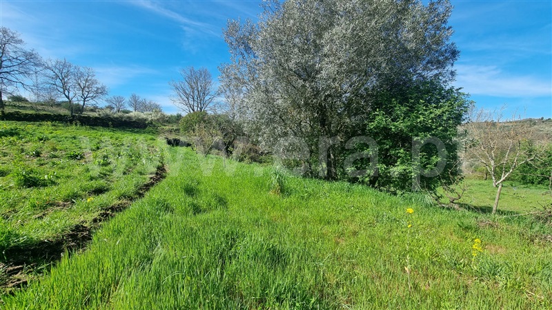 Moradia Geminada T2 Valpaços, Lebução, Fiães e Nozelos - 1277691 - 14
