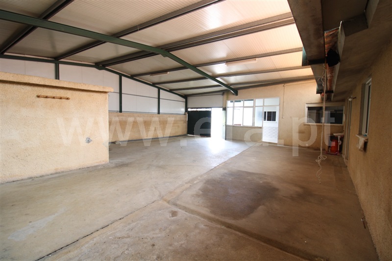 Moradia Geminada T3 Anadia, Sangalhos - 1486131 - 15