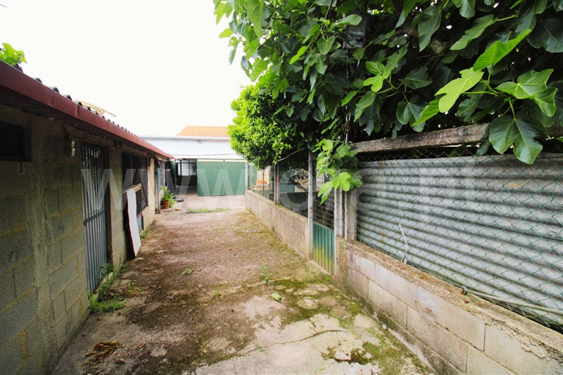 Moradia Geminada T3 Anadia, Sangalhos - 1486131 - 18