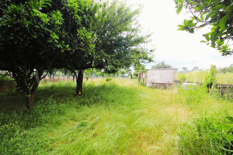 Moradia Geminada T3 Anadia, Sangalhos - 1486131 - 19