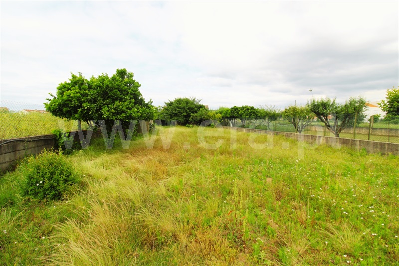 Moradia Geminada T3 Anadia, Sangalhos - 1486131 - 20